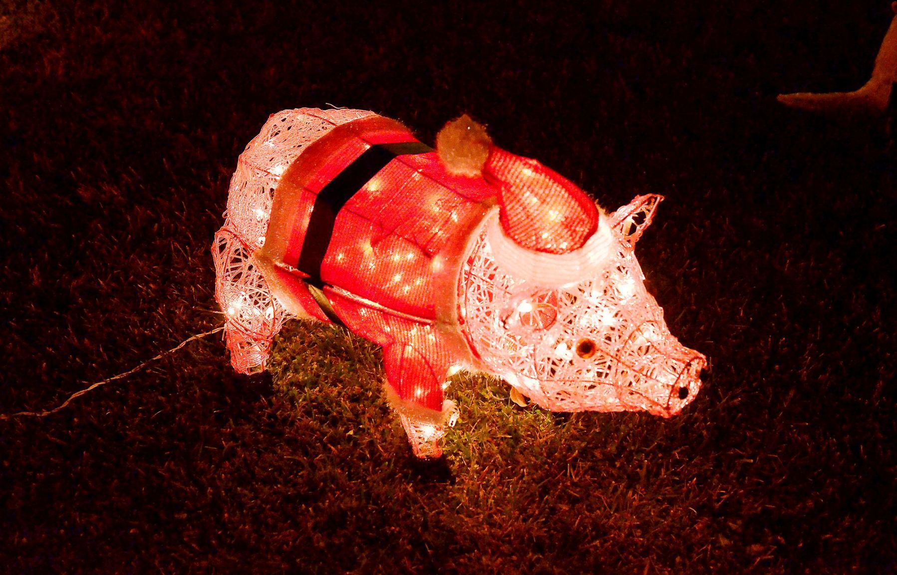 Napa Christmas lights